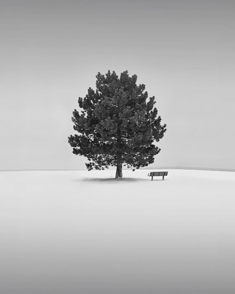 Minimalism Photography Awards Winners