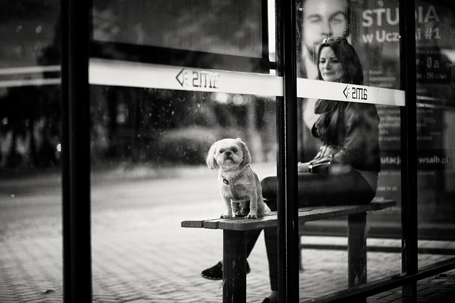 Monochrome Street Photography Awards