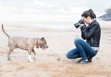 Pet Photography 101