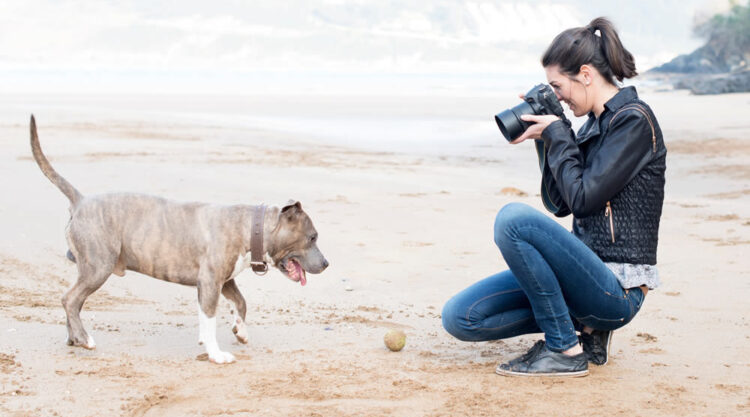 Pet Photography 101