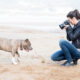 Pet Photography 101