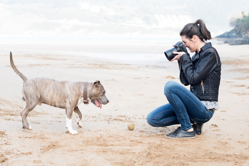 Pet Photography 101