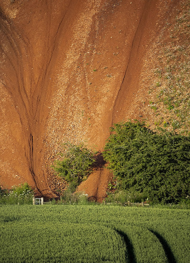 Scottish Nature Photographer Of The Year Winners