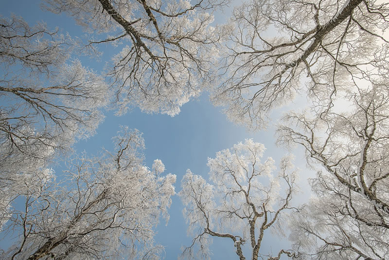 Scottish Nature Photographer Of The Year Winners