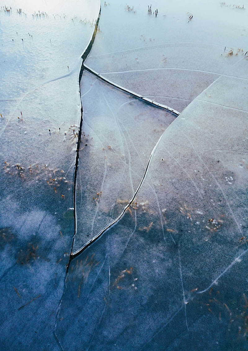 Scottish Nature Photographer Of The Year Winners