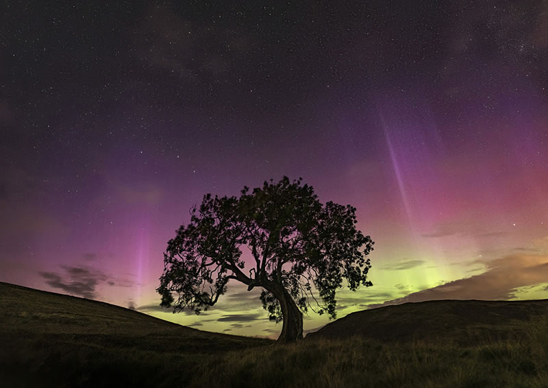 Scottish Nature Photographer Of The Year Winners