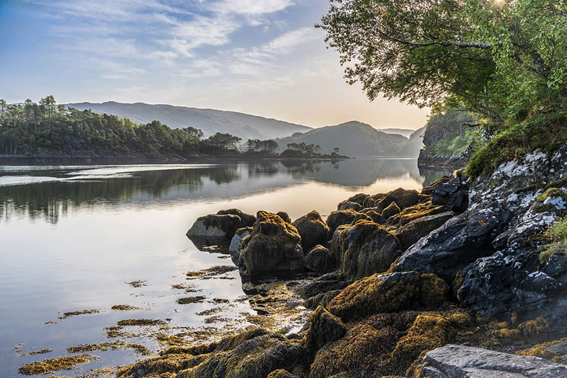 Scottish Nature Photographer Of The Year Winners