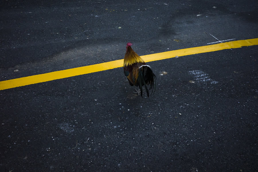 Street Photography By Jad Jadsada