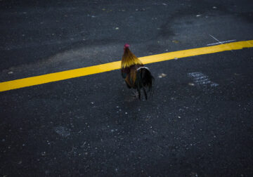 Street Photography By Jad Jadsada