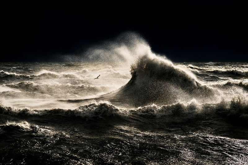 Waves Of Lake Erie By Trevor Pottelberg