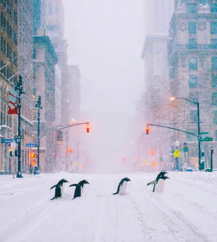 Dreamlike Photographs by Robert Jahns