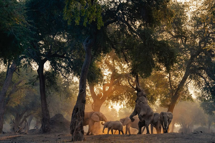 World Nature Photography Awards Winners