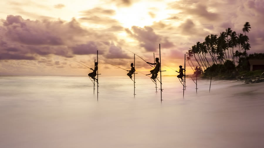 World Nature Photography Awards Winners