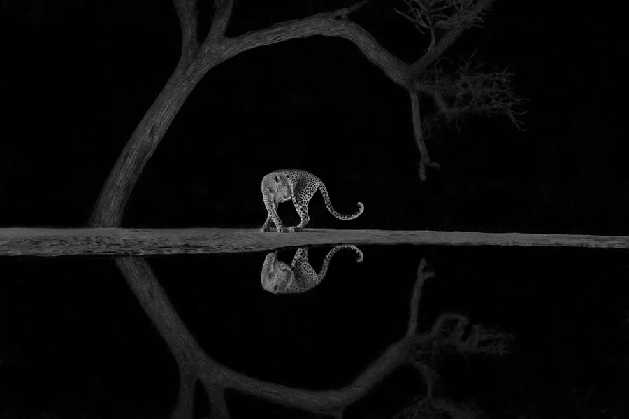 World Nature Photography Awards Winners