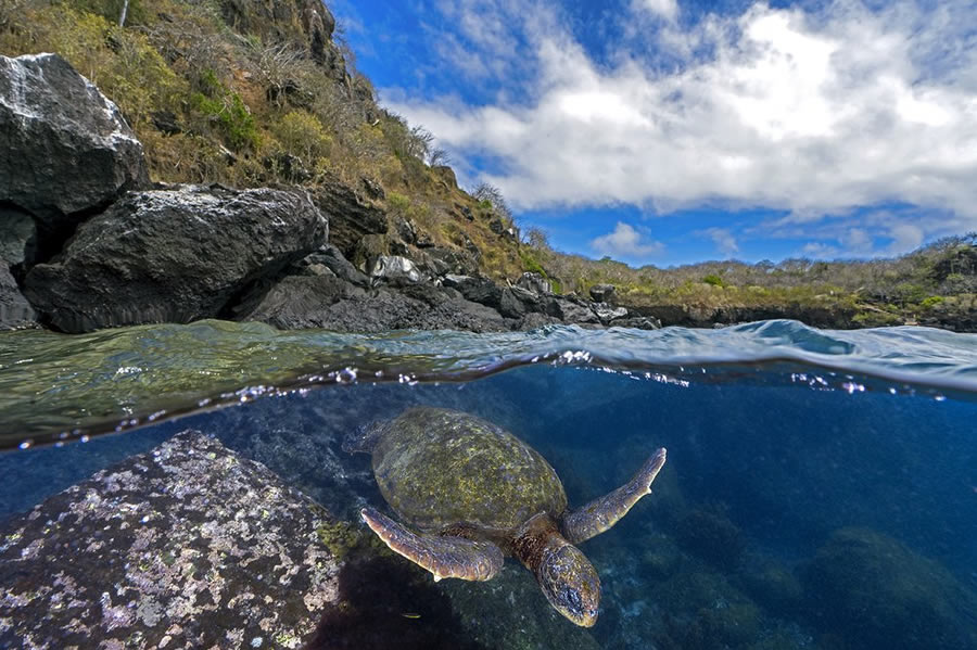 World Nature Photography Awards Winners