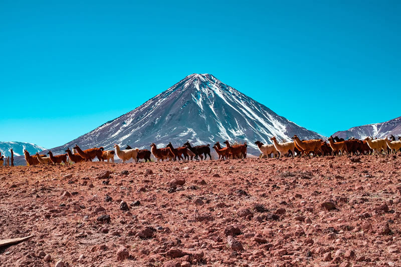 Landscapes of the Atacama Desert in Chile by Jesse Echevarria