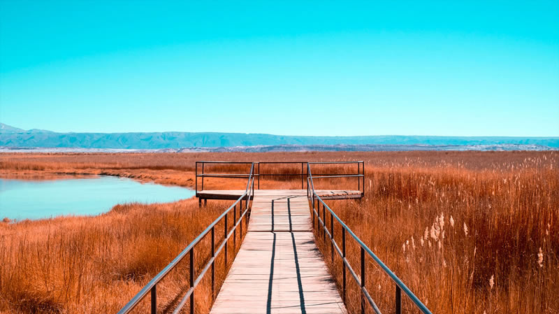 Landscapes of the Atacama Desert in Chile by Jesse Echevarria