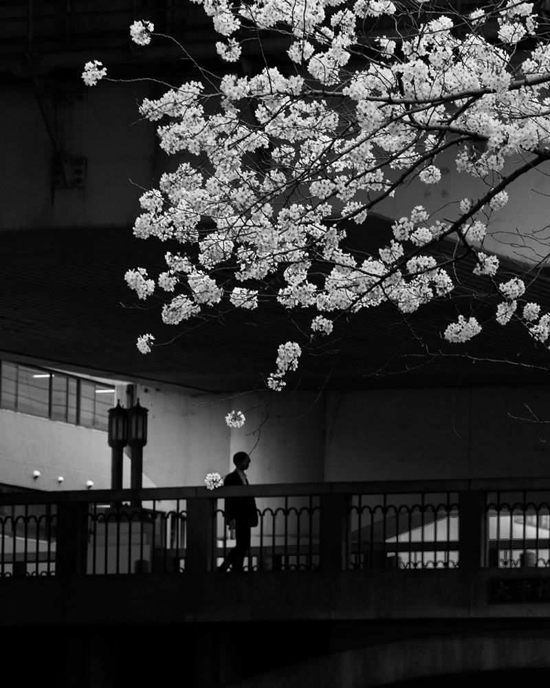 Captivating Street Photos In Black And White By Taka Hiro