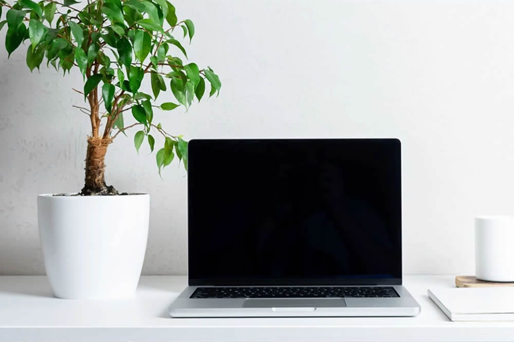 Black Screen On MacBook Pro