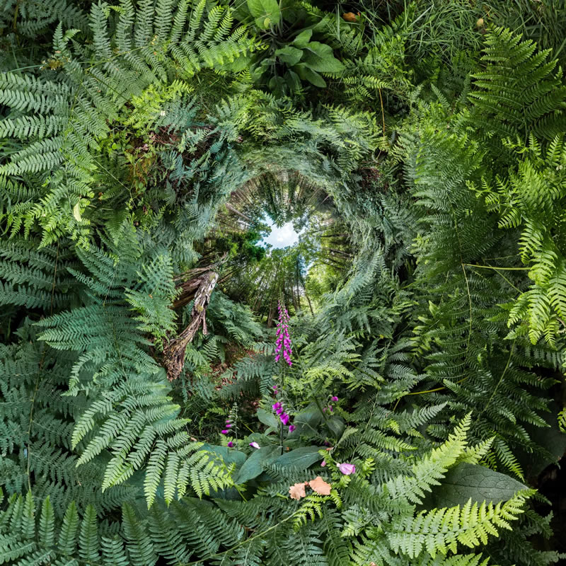 Landscape British Photography Awards Winners