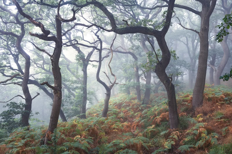 Landscape British Photography Awards Winners