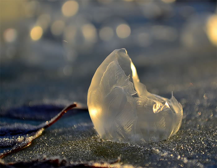 Beautiful Macro Photos Of Frozen Soap Bubbles By Angela Kelly