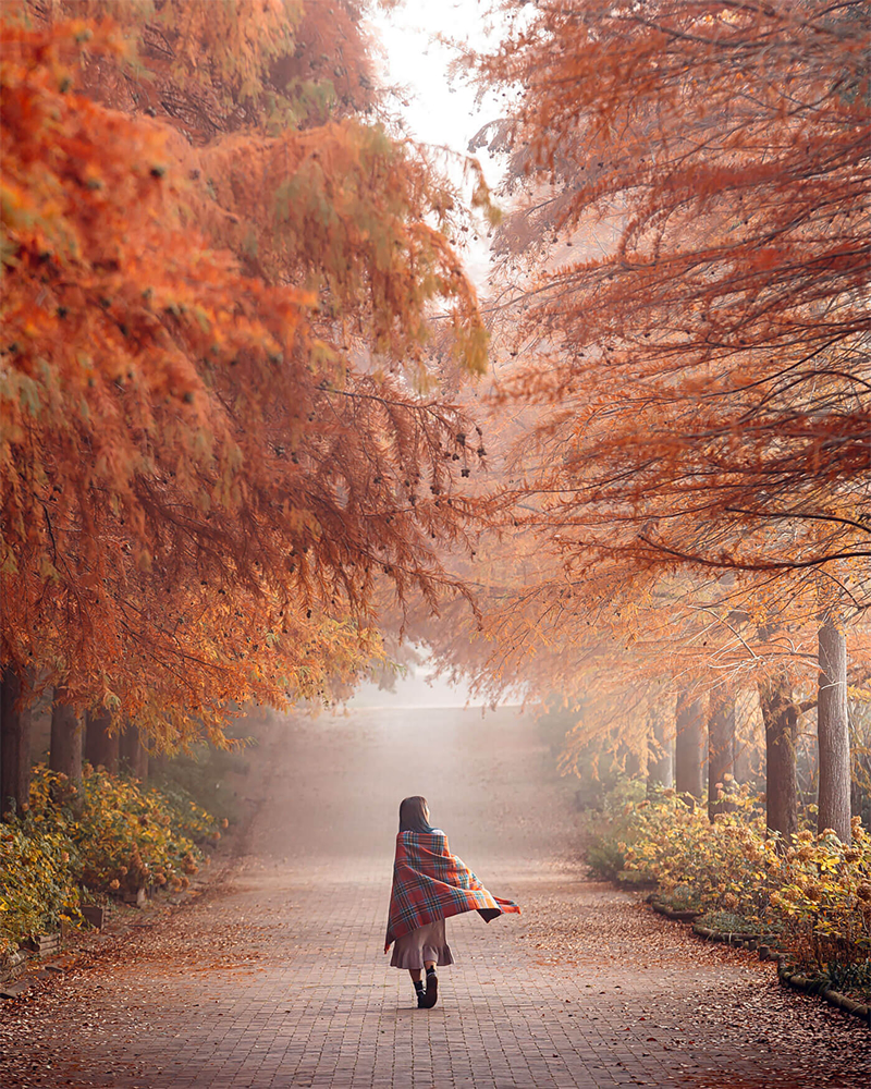 Japan Photography By Tatsuto Shibata