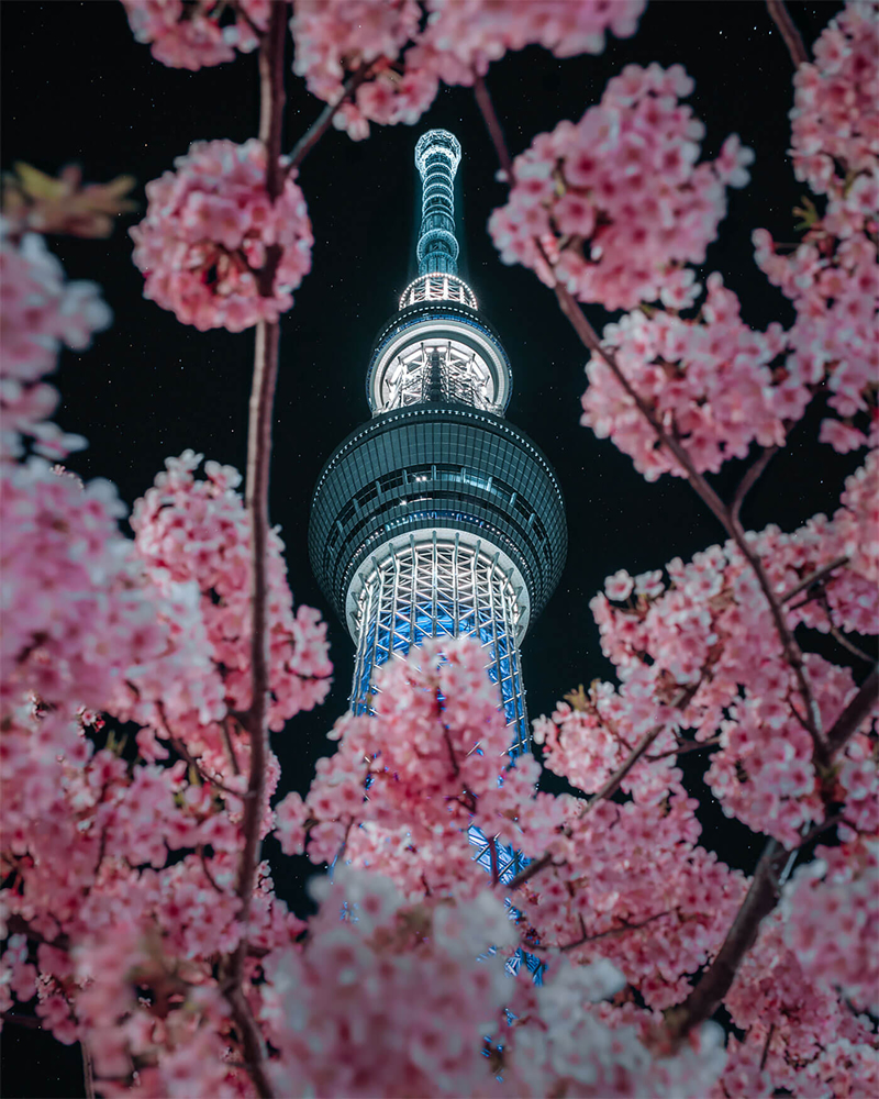 Japan Photography By Tatsuto Shibata