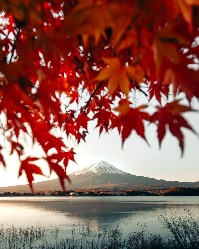 Japan Photography By Tatsuto Shibata