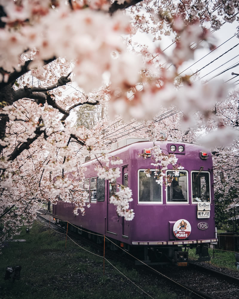 Japan Photography By Tatsuto Shibata