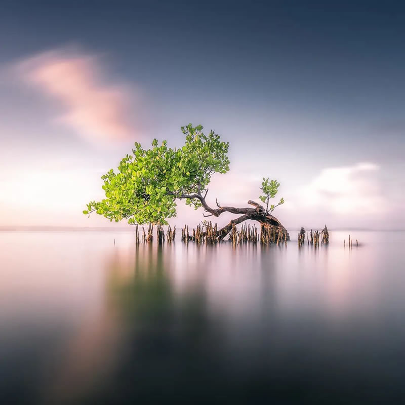 The Beauty Of Long Exposure Landscape Photography