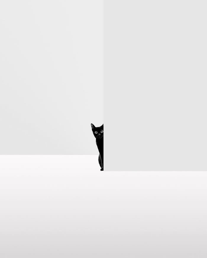 Best Minimalism Photography 