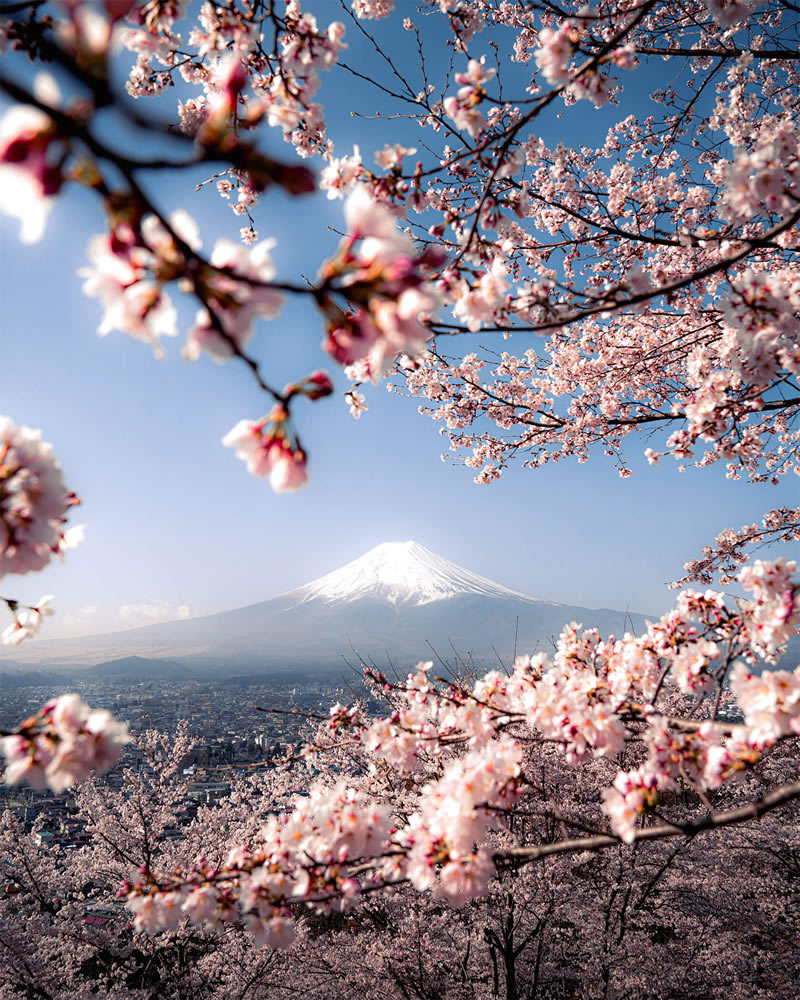 Mount Fuji Four Seasons By Hisa Matsumura