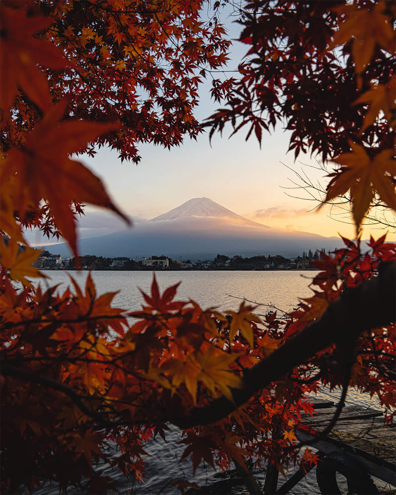 Mount Fuji Four Seasons By Hisa Matsumura