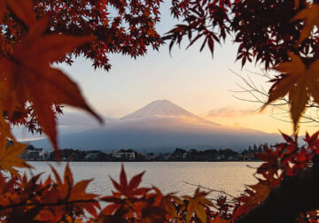 Mount Fuji Four Seasons By Hisa Matsumura