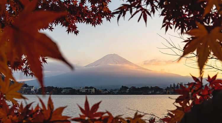 Mount Fuji Four Seasons By Hisa Matsumura