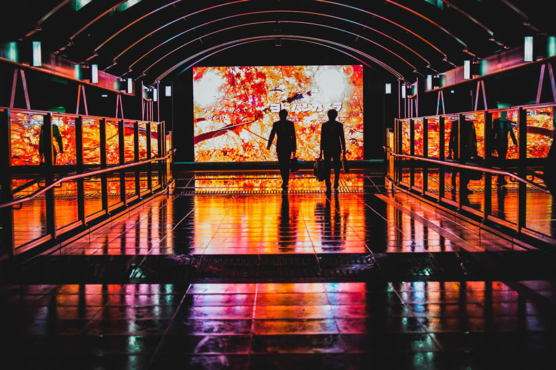 Reflective Rainy Nights Of Osaka By Omi Kim