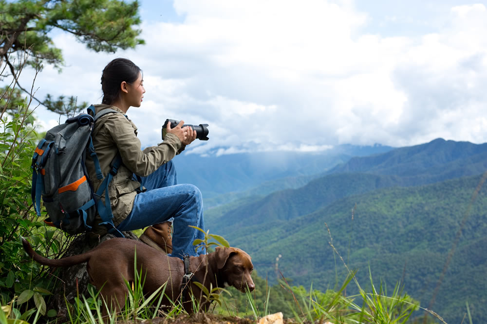 Document Your Photo Evidence For A Research Project