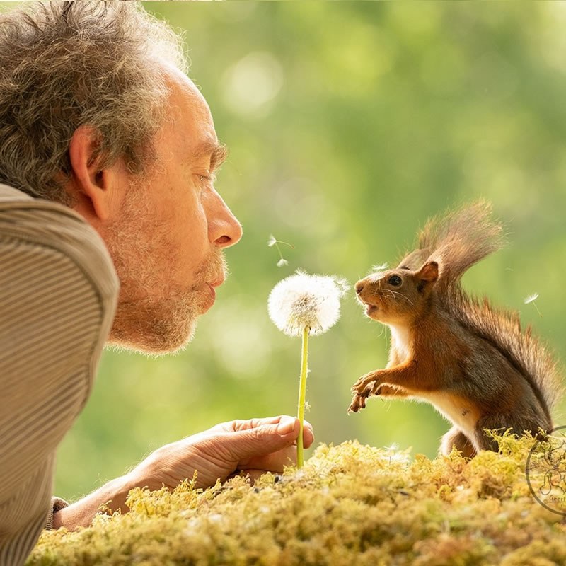 Adorable And Playful Squirrels In Action Captured By Geert Weggen