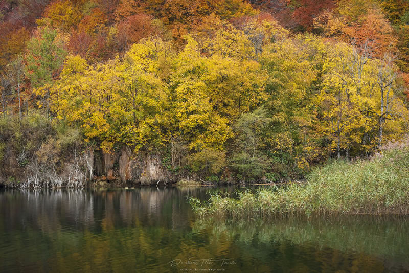 Colorful Waterfalls Of Plitvice Lakes In Croatia By Tamas Dombora