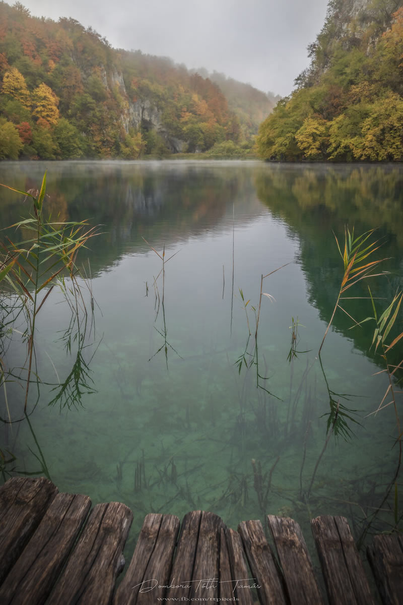 Colorful Waterfalls Of Plitvice Lakes In Croatia By Tamas Dombora