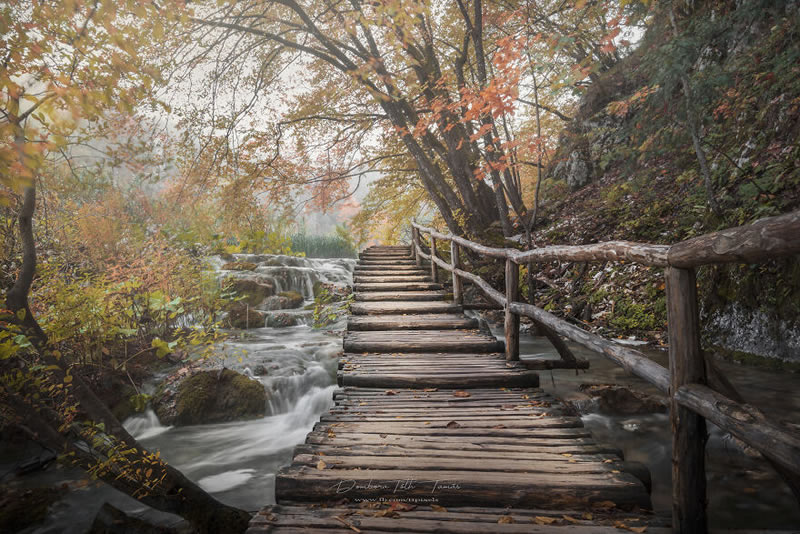 Colorful Waterfalls Of Plitvice Lakes In Croatia By Tamas Dombora