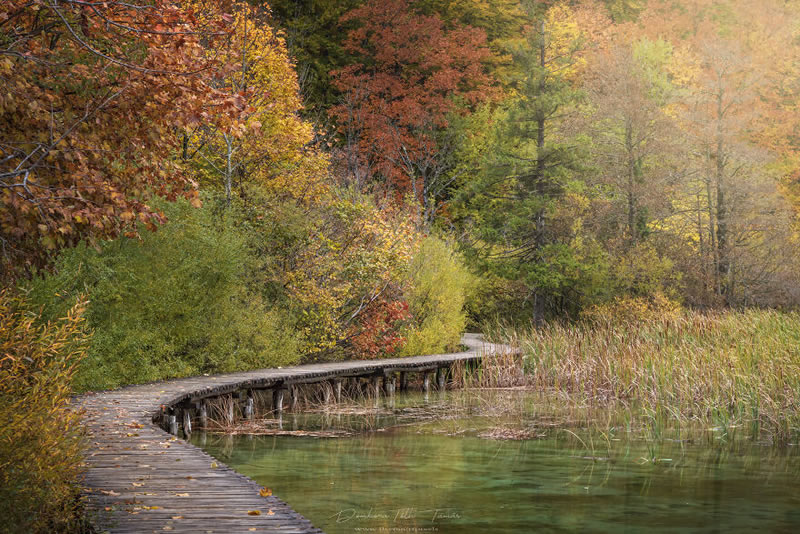 Colorful Waterfalls Of Plitvice Lakes In Croatia By Tamas Dombora