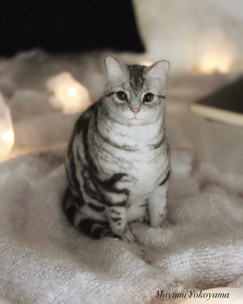 Realistic Cats With Felt Wool By Mayumi Yamamoto