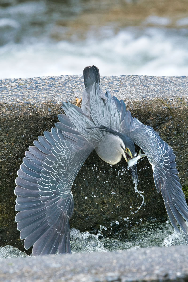 Best Photos From Sony World Photography Awards