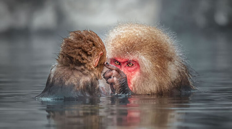 Best Photos From Sony World Photography Awards