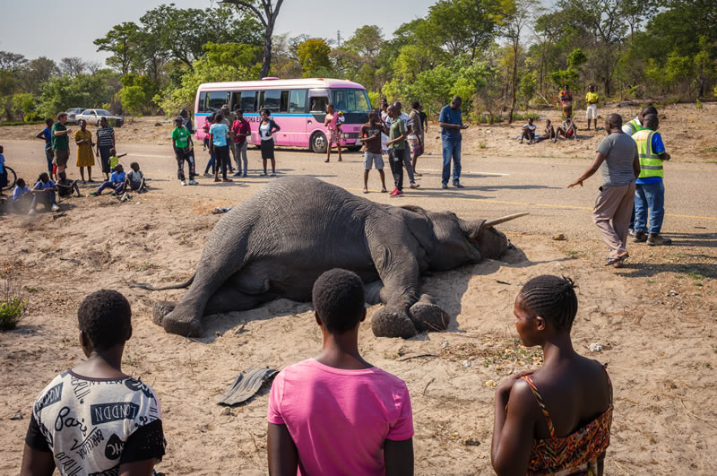 Sony World Photography Awards 2024 Winners