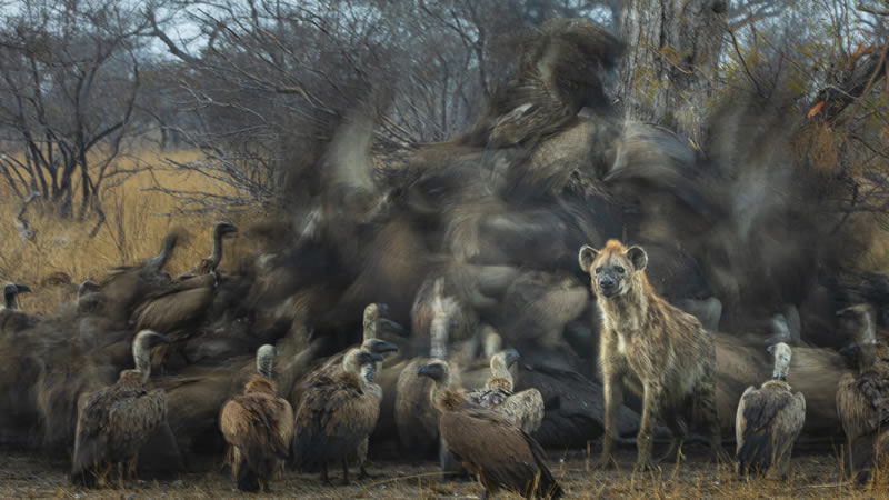 South African Photographer Of The Year 2023 Winners