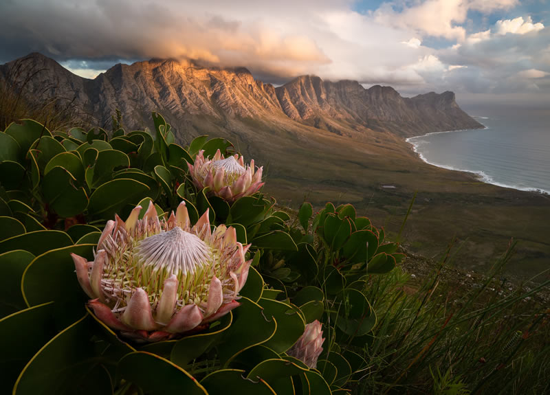 South African Photographer Of The Year 2023 Winners