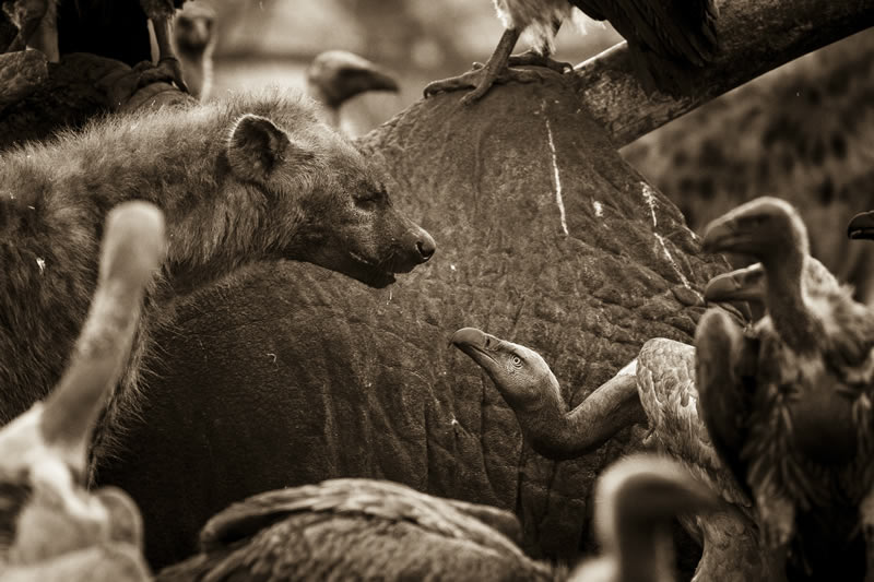 South African Photographer Of The Year 2023 Winners